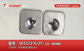 SK5223*6/3Y钻汽配异形螺母