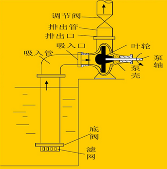 单机单吸离心泵基本结构图.png