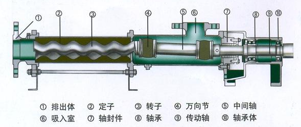 单螺杆泵基本机构图.png